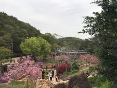 -狐尾山公园