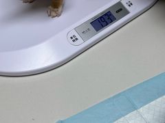 -仁普宠物诊所·中兽医·夜诊·狂犬免疫点(住友昌盛新苑店)