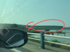 -合肥滨湖国家森林公园