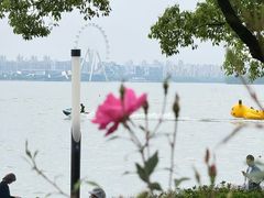 -金鸡湖景区