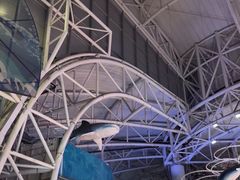 -烟台海昌鲸鲨海洋公园