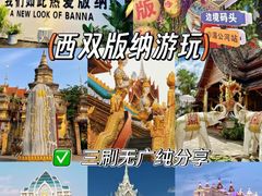 -西双版纳原始森林公园