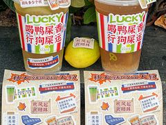 -丘大叔柠檬茶(乐峰广场分店)