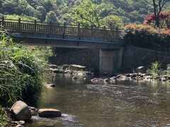 -北仑森林植物园