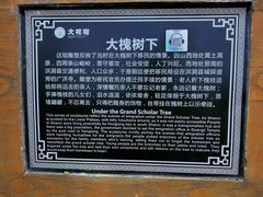 -大槐树寻根祭祖园