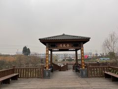 -空港花田景区