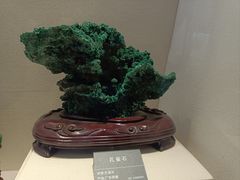 -安徽省地质博物馆