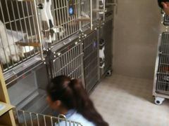 -芭比堂动物医院·犬猫全科·异宠专科(雁塔分院)