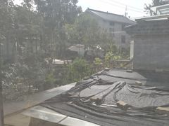 -张鸟园农家乐(张鸟园店)