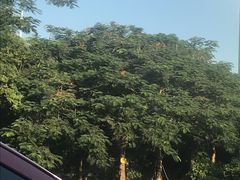 -江头公园