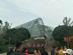 -南山植物园