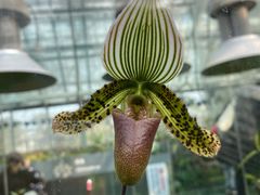 -国家植物园