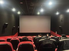 -中影嘉华国际影城(大芬星都里店)