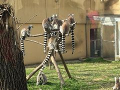 -合肥野生动物园