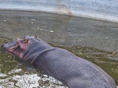 -济南野生动物世界