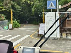 -鼎湖山风景区