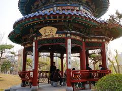 -迎泽公园