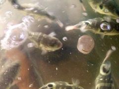 -长廊饭店(锦溪古镇店)