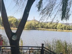 -北坞公园