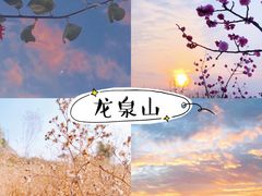 -三圣花乡旅游区