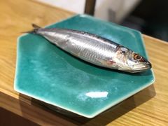 沙丁鱼刺身-加奈日本料理
