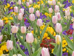 -玄武湖景区-情侣园游乐场