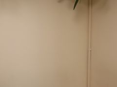 -本無咖啡·BeanWood Coffee