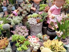 -双季花艺园艺市场(浦东店)