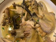 清蒸散养草鸡-海江5号