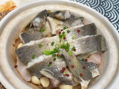 砂锅焗黄花鱼-1937青岛老味道·海肠捞饭·青岛菜(大鲍岛栈桥店)