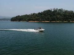 -广州市流溪河国家森林公园