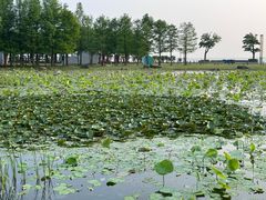 -滆湖低碳生态公园