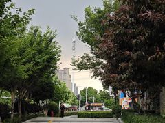 -李想大虾(黉街店)