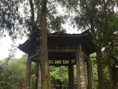 -老木棉·匠园