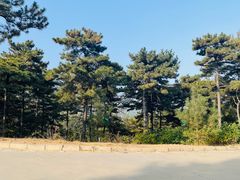 -北京西山国家森林公园