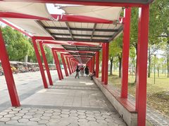 -如皋市龙游湖欢乐世界