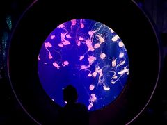 -成都浩海立方海洋公园