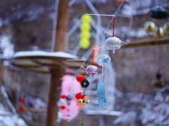 -黑龙潭风景区