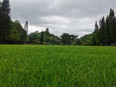 -深圳仙湖植物园