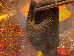 -孙毛肚火锅(春熙路店)