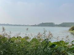 -丁香湖公园