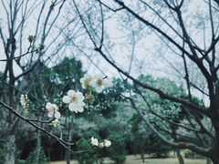-金山公园