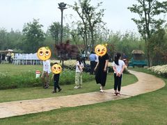 -上海长兴岛郊野公园