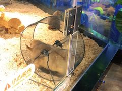 -昆明大悦城未来动物城(螺蛳湾中心店)