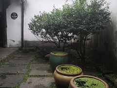 -院子餐厅·大锅菜·老杭帮(桥西直街店)