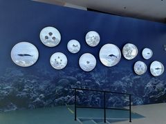 -上海中国航海博物馆