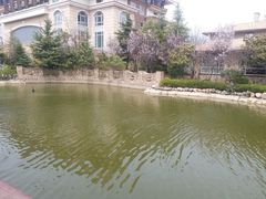 -芭东小镇温泉