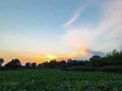 -羊亭河湿地公园