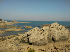 android_upload_pic-大连金石滩滨海国家地质公园