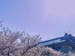 -武汉大学-樱园